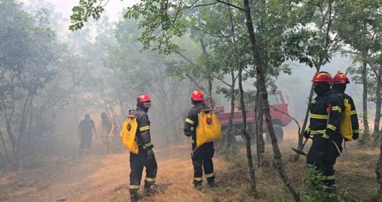 ПОЖАРОТ ВО ДОЈРАНСКО Е ОПАСНОСТ ЗА ОКОЛНИТЕ ШУМИ Грција испрати два авиона за да го изгаснат