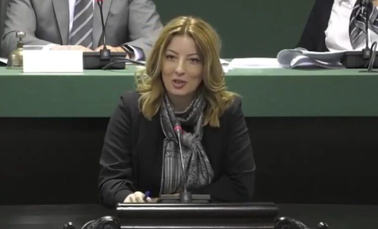 ДАНЕЛА ГО НАВРЕДУВА ПРЕМИЕРОТ МИЦКОСКИ Инспекцијата во Град Скопје поради несобраното ѓубре ја смета за политички прогон