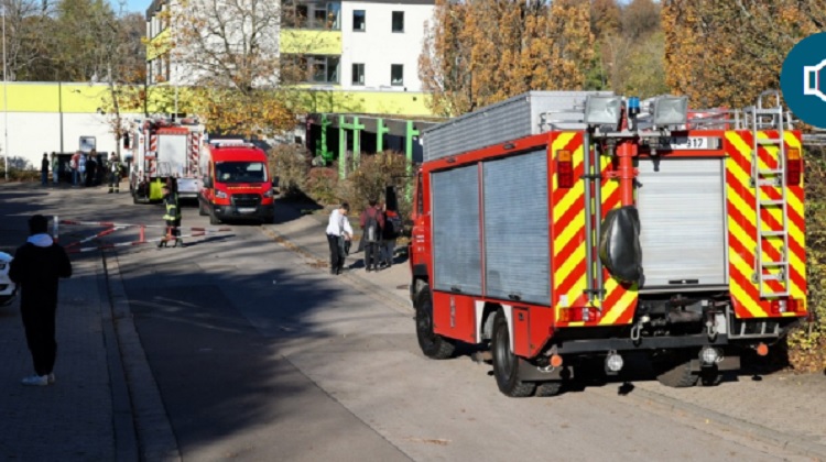 32 УЧЕНИЦИ И НАСТАВНИЦИ ПОВРЕДЕНИ ВО ГЕРМАНСКО УЧИЛИШТЕ Вдишиле иритирачки гас од непознато потекло