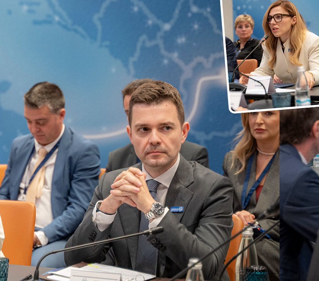 МАКЕДОНИЈА ДОЗВОЛИ БУГАРСКИ ЛЕКАРИ ДА ЈА ПРЕГЛЕДААТ ИВА МИХАЈЛОВА За Муцунски тоа е гест на добра волја од кој може да почне да се гради доверба
